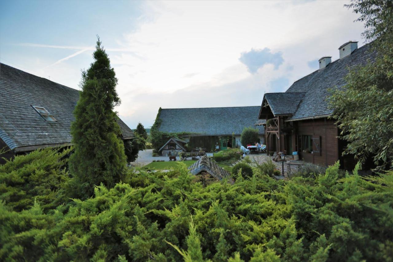 Domy Konesera Trzcin Dış mekan fotoğraf